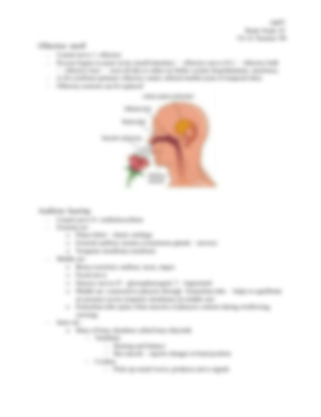 Study-Guide-10-SNS (1).docx_dz7mgsyvhom_page2