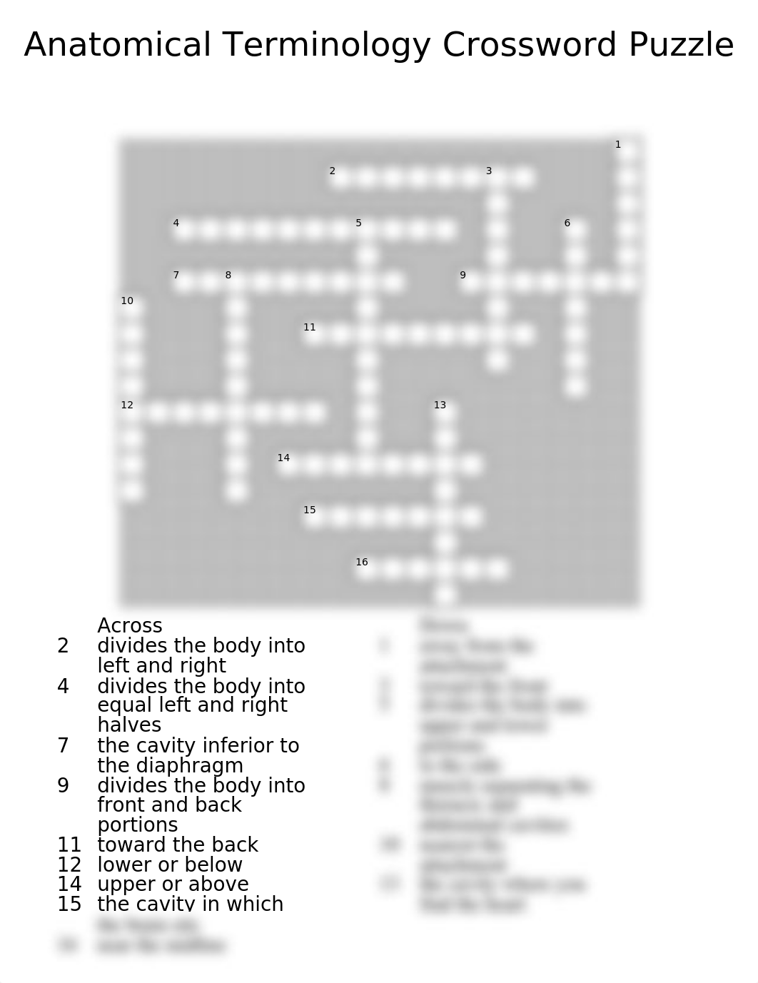 Anatomical_Terminology_Crossword.pdf_dz7oq2uu0n3_page1