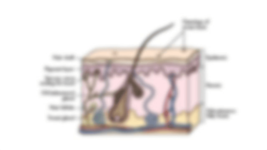 MODULE 4 Assisting with Personal Hygiene.pdf_dz7pruq561a_page4