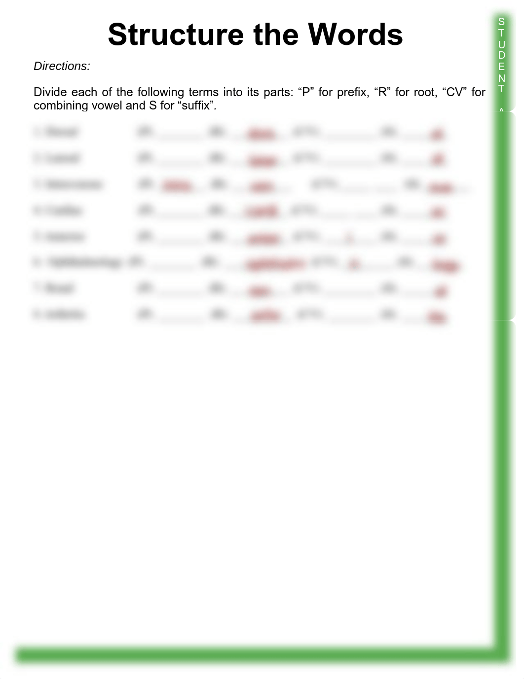 Activity - Structure the Words.pdf_dz8134s773o_page1