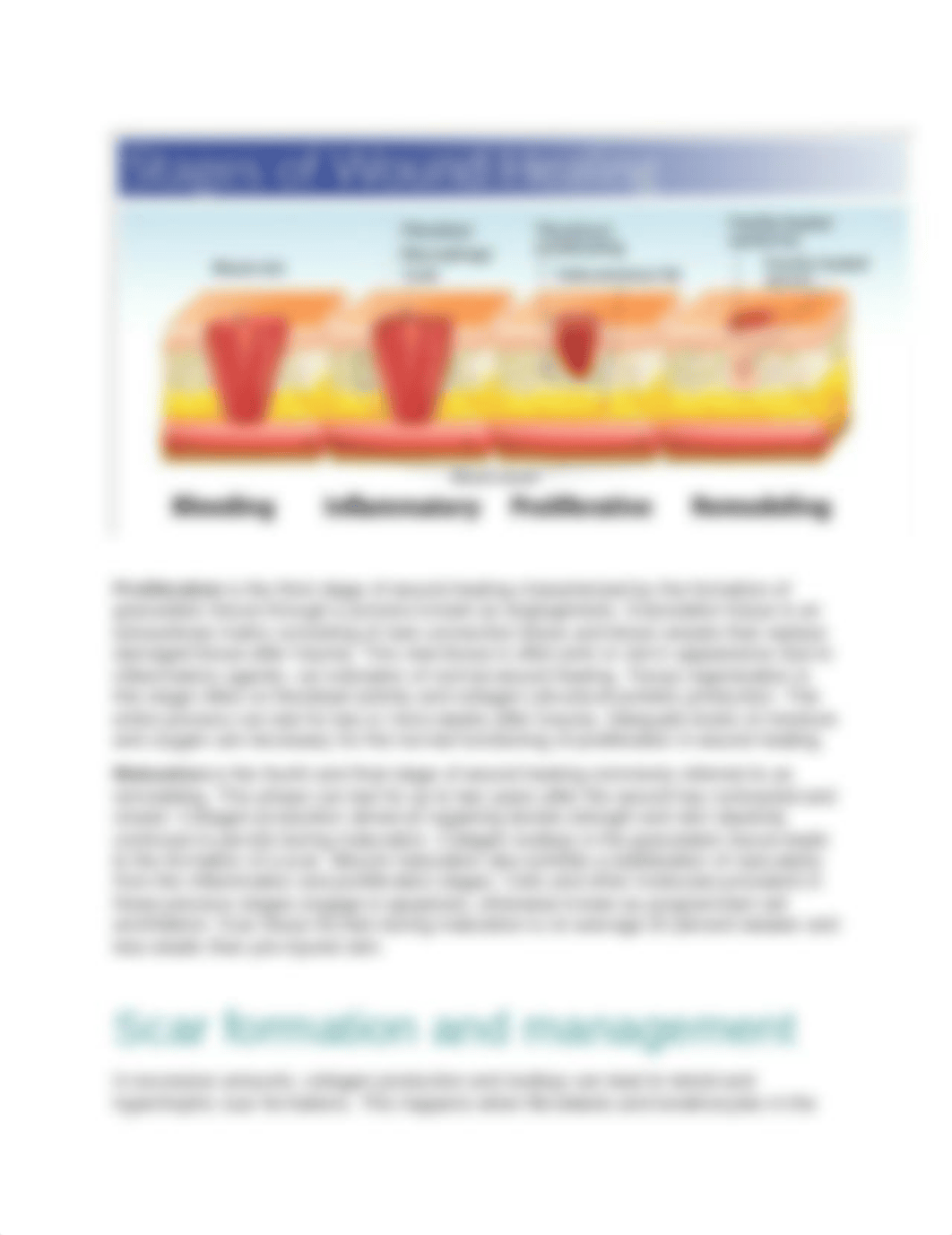 wound healing stages.docx_dz8f85hgrg9_page2