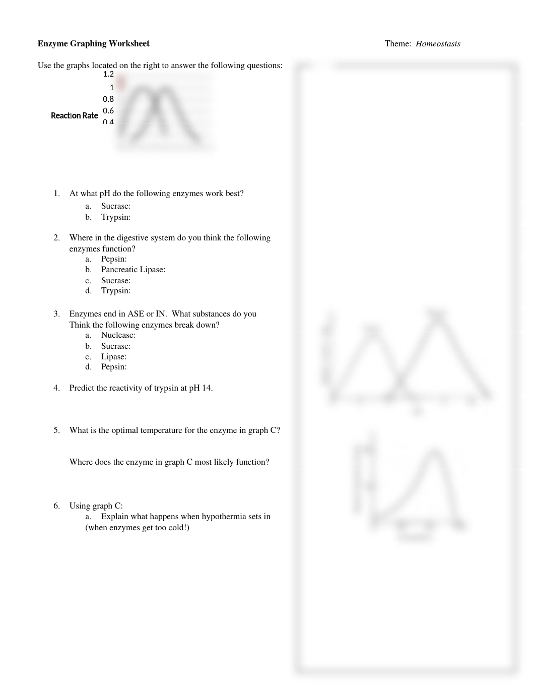 Enzyme Graphing Worksheet.docx_dz8mav2xsip_page1