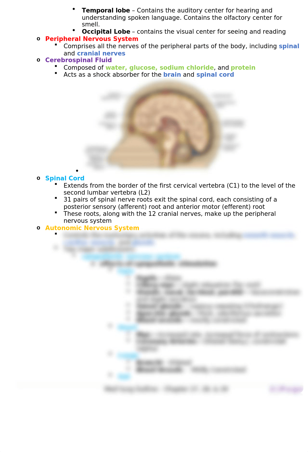 Med Surg Outline - Chapter 27, 28, & 29.docx_dz8mvku39cy_page2