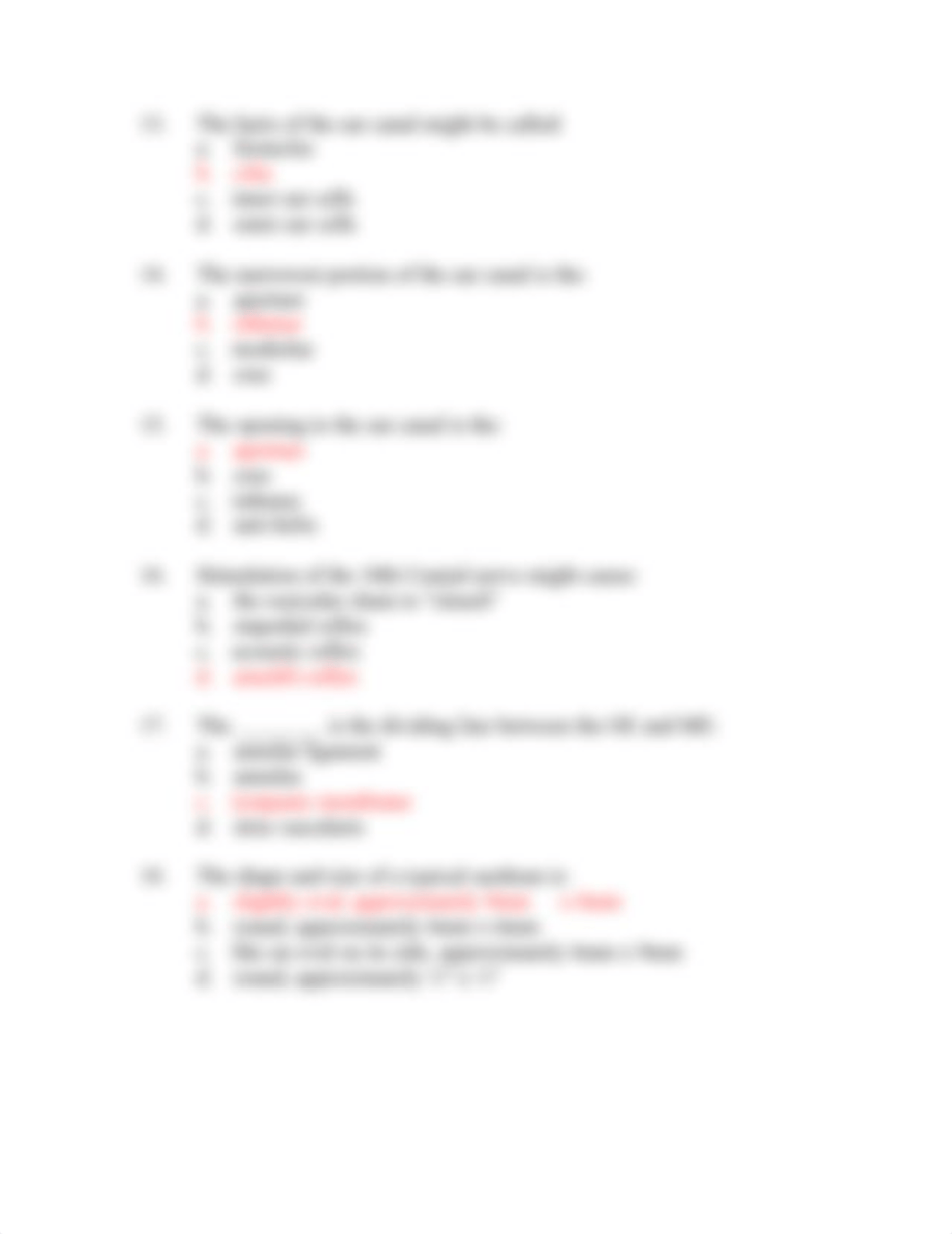 The Outer Ear Answers.doc_dz8ns5zl4hk_page3