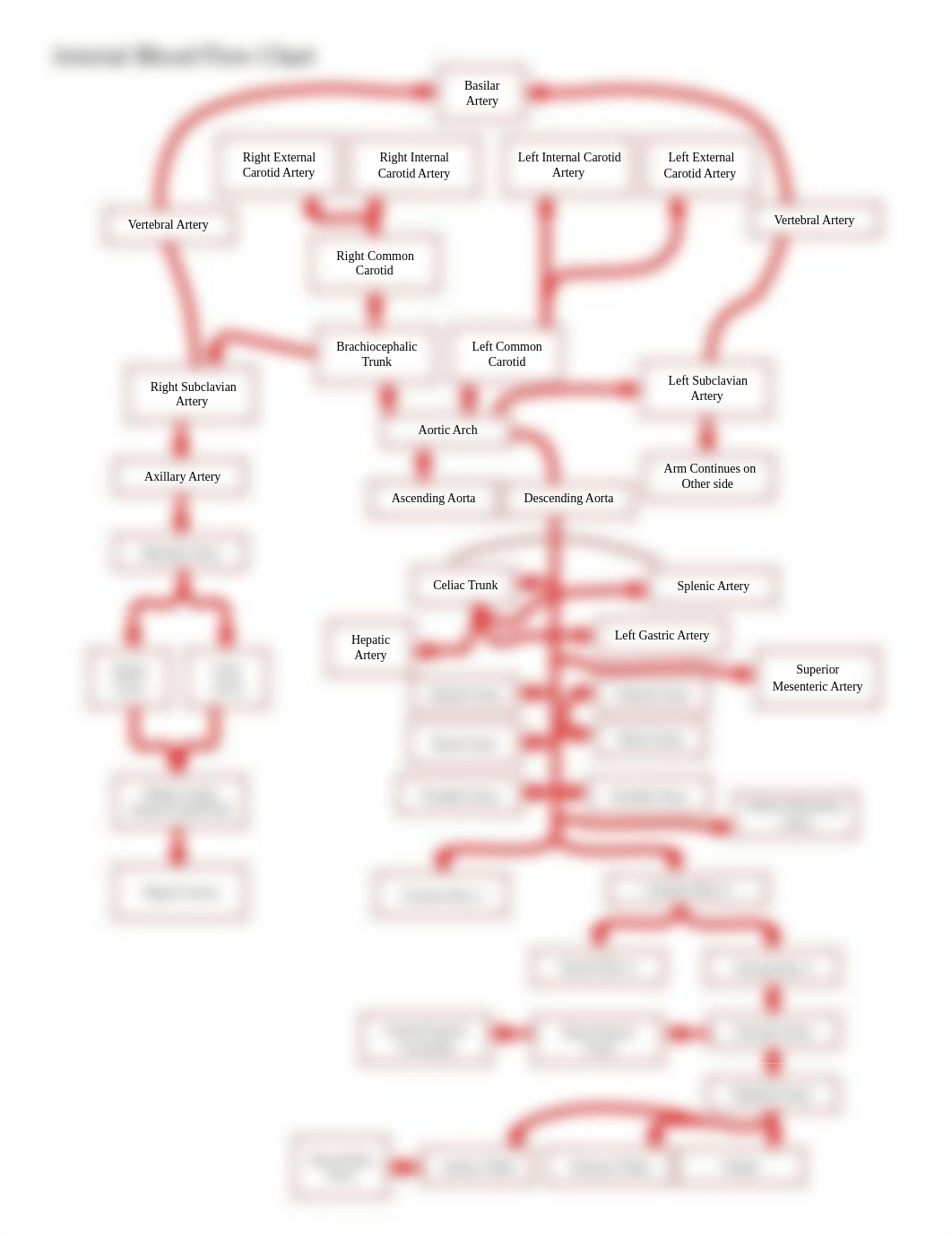 Arterial Blood Flow Chart.pdf_dz8oq8w9s8k_page1