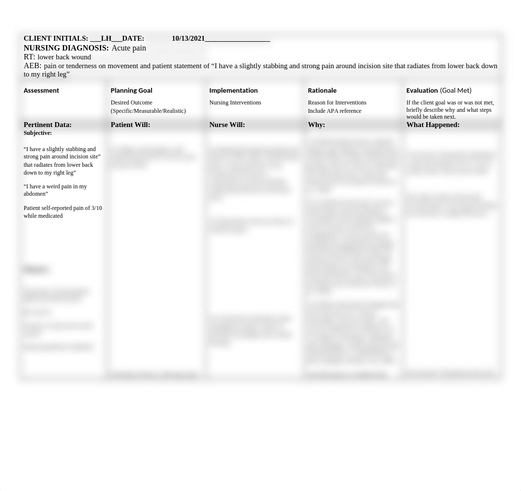 Acute pain care plan.docx_dz8upyzv961_page1