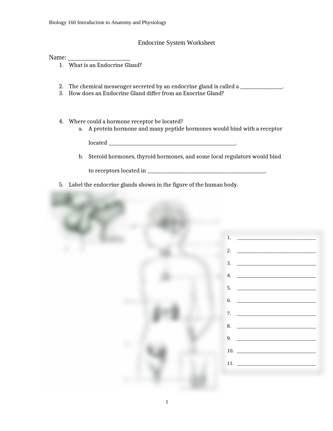 Endocrine System Worksheet Bio 160 new.doc_dz8wp9zax4g_page1