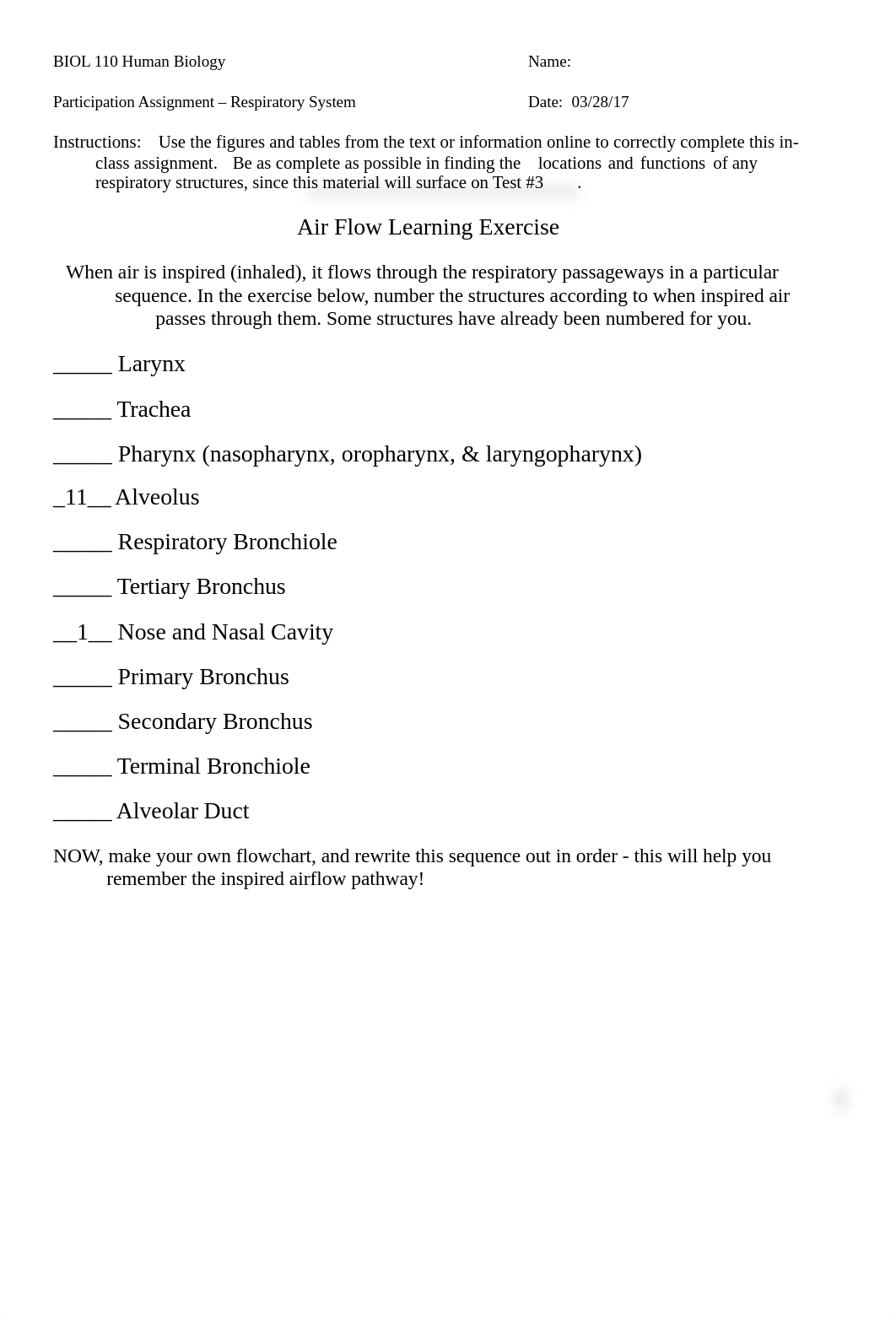 Participation Assignment - Respiratory System.doc_dz8xgge8evd_page1