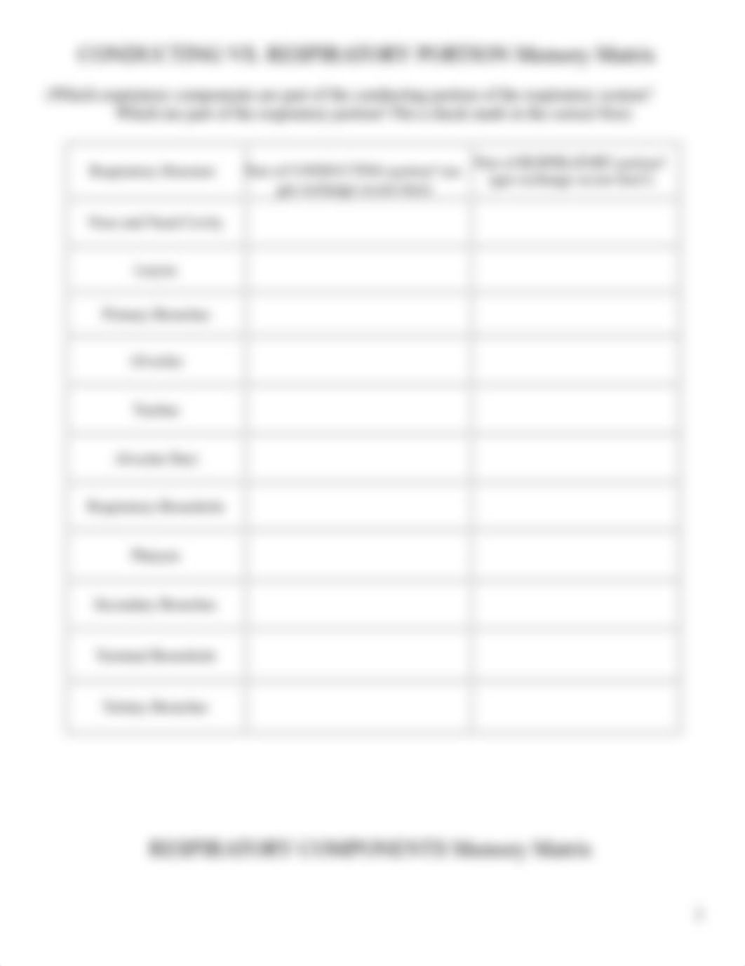 Participation Assignment - Respiratory System.doc_dz8xgge8evd_page2