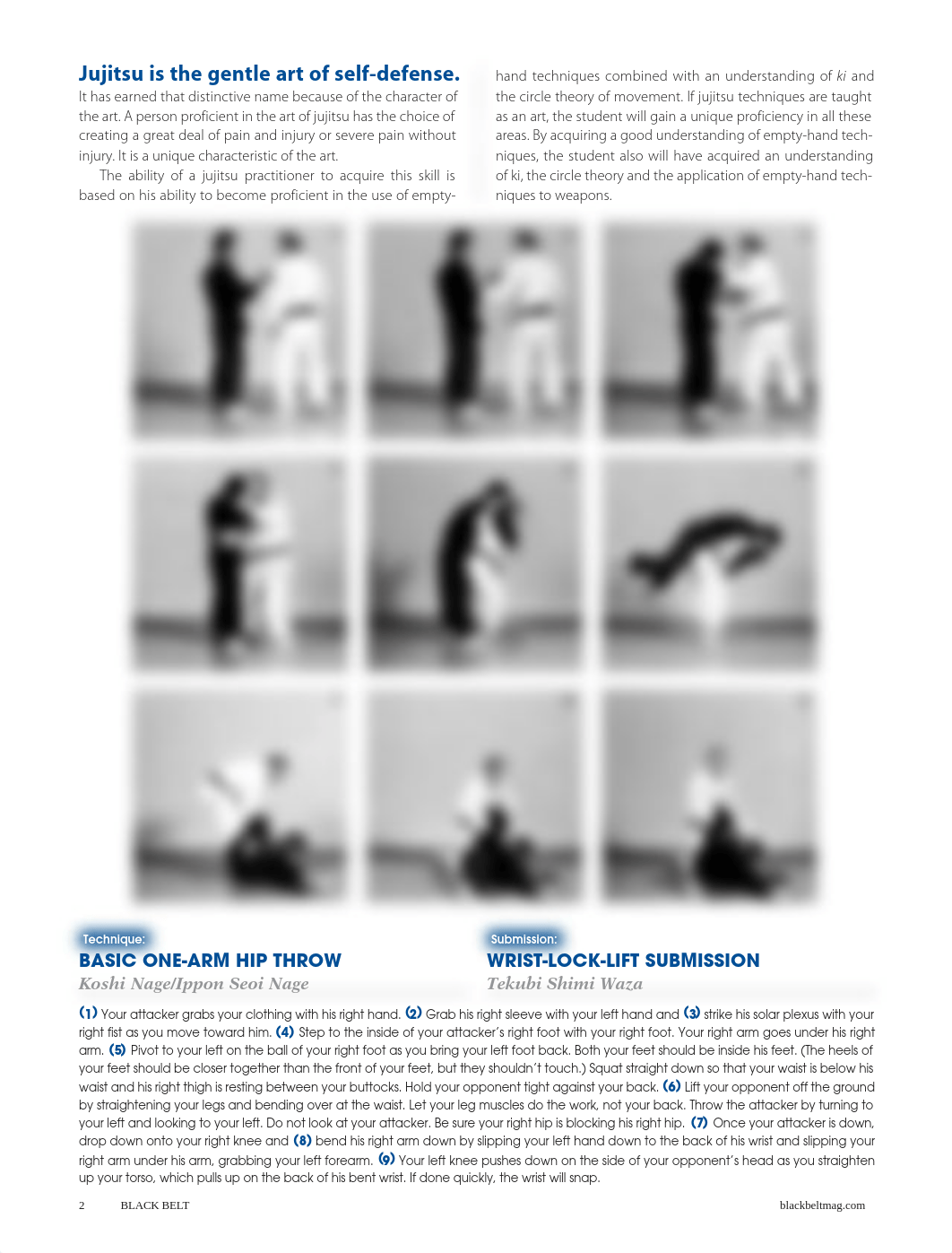 Basic_Jujitsu_Techniques_REVISED.pdf_dz97kau7e7e_page2