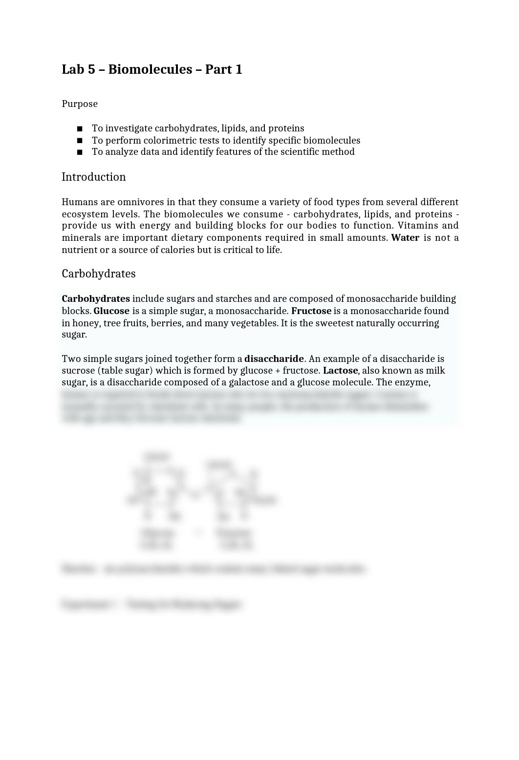 Copy of 2021 lab005_macromolecules01_sugar-2.docx_dz9ai1g3kt5_page1