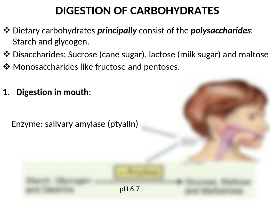 1. Digestion and Absorption of Carbohydrates.pptx_dz9gr81pin4_page4