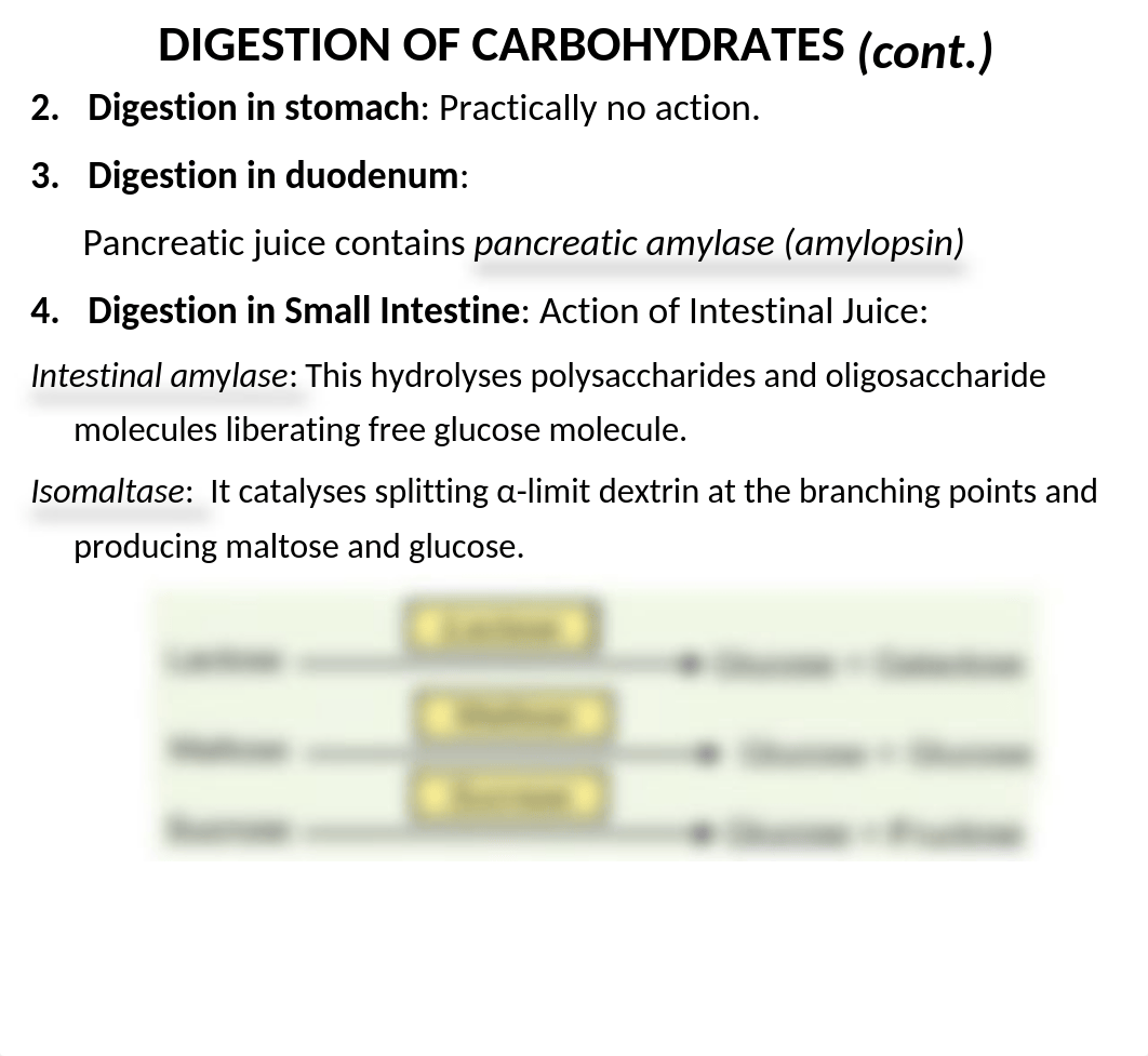 1. Digestion and Absorption of Carbohydrates.pptx_dz9gr81pin4_page5