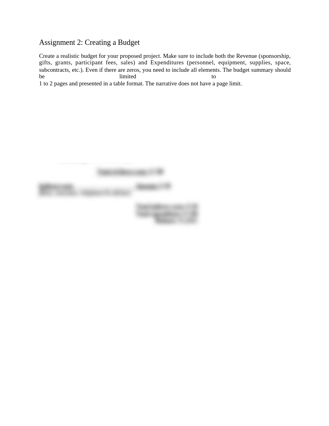 Assignment 2 Budget (1).docx_dz9k8aq7tw2_page1