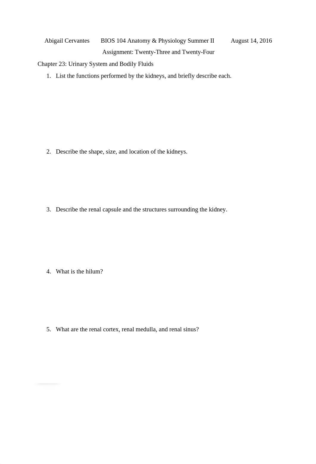 Cervantes Assignment 5_dz9kekxlst2_page1