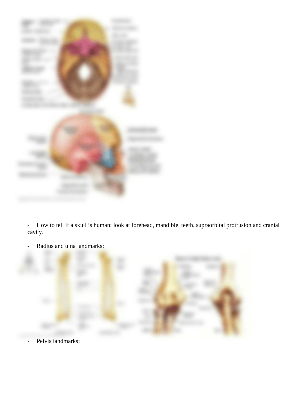 Study guide for exam 2_dz9nf7sw9yu_page2