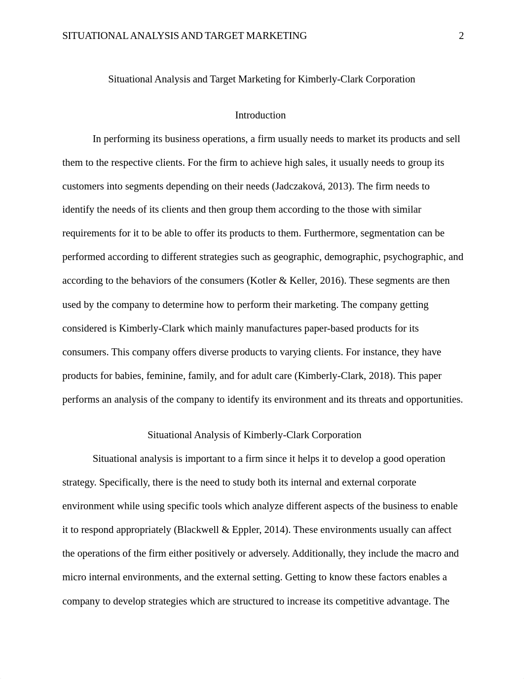 Lowe, Situational Analysis and Target for Kimberly Clark.doc_dz9ns3sabov_page2