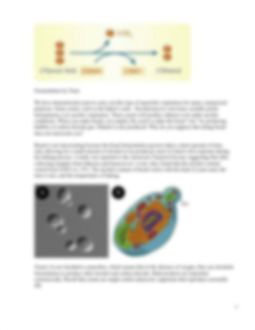 4.Fermentation (2).pdf_dz9xapv9ego_page2