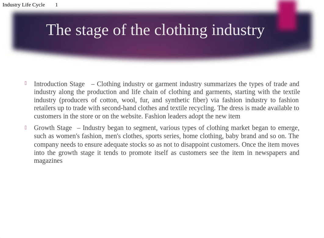 Team 4 --Industry Life Cycle_dza2oqrg92d_page2