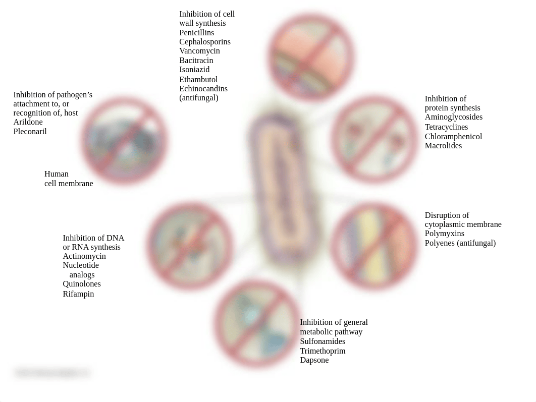 7._ANTIMICROBIAL_AGENTS_ppt-1[1].ppt_dza2pgh4thz_page3