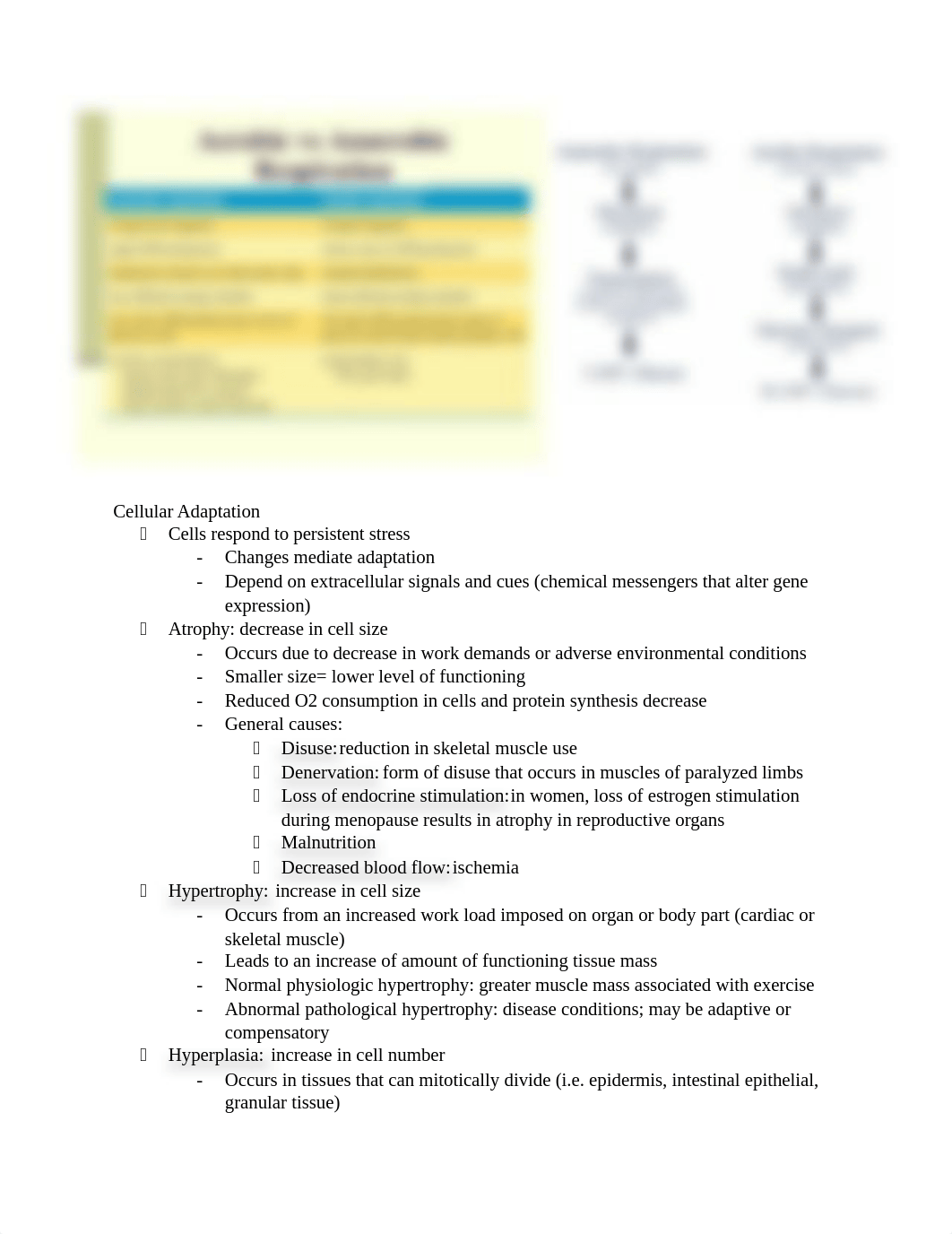 Study Guide-Exam 1.docx_dza8f2vfjqu_page2