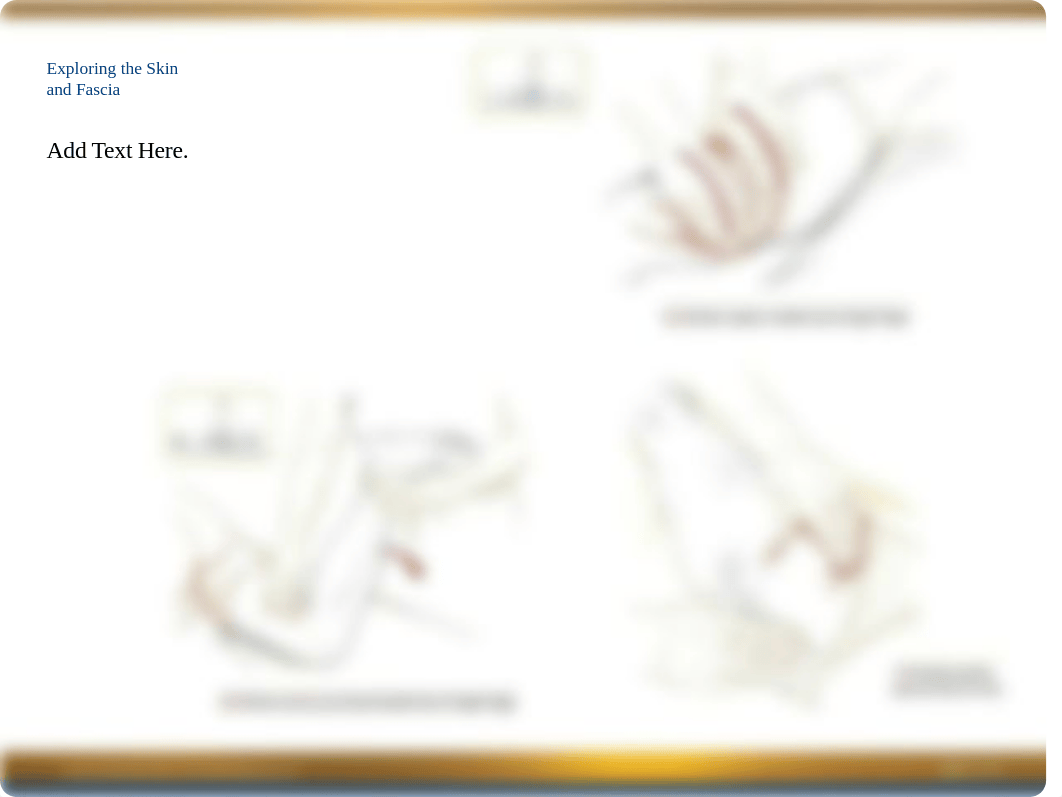 Chapter 6 Power Point -- Pelvis & Thigh.ppt_dza8uckoua4_page4