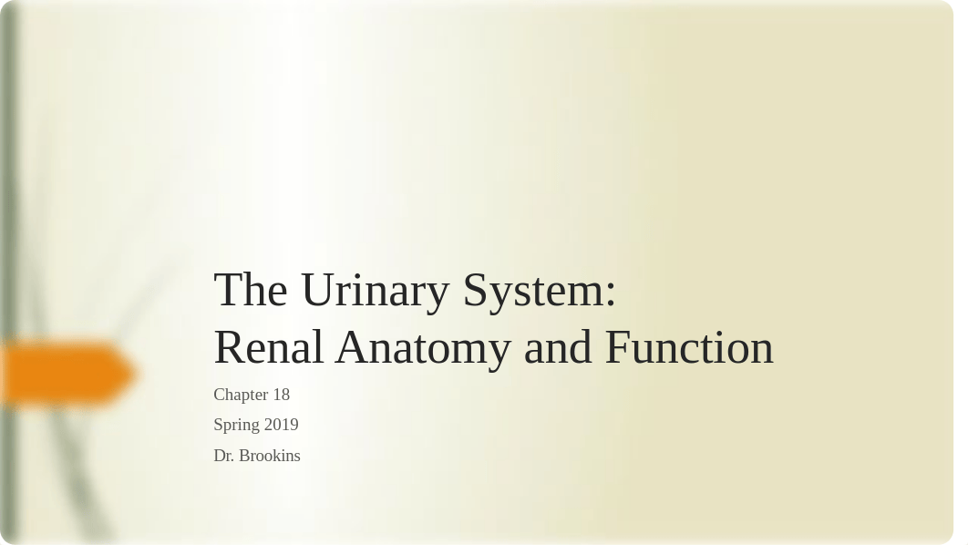 BIO 215 CH 18 The Urinary System- Anatomy and Renal Function(1).pptx_dzagkqo6o27_page1