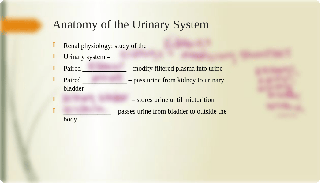 BIO 215 CH 18 The Urinary System- Anatomy and Renal Function(1).pptx_dzagkqo6o27_page5