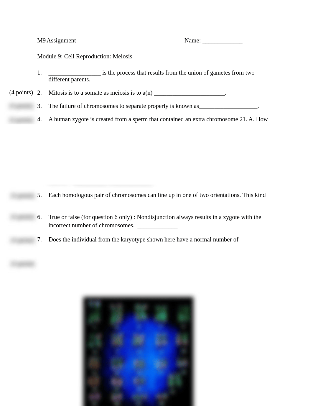 M9 Meiosis Assignment(1).docx_dzaoto377iq_page1