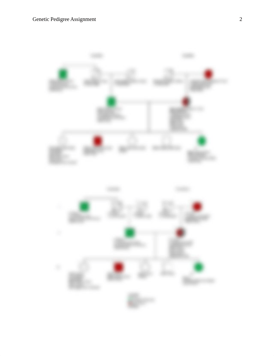 genetic pedigree assignment.docx_dzap6p7b9o4_page2