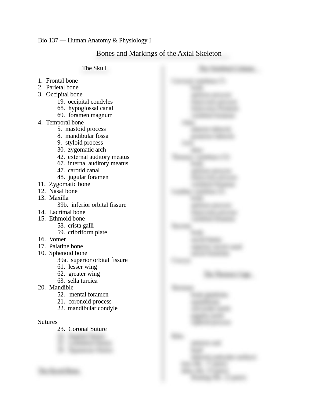 Axial important structures_dzasojzewtd_page1