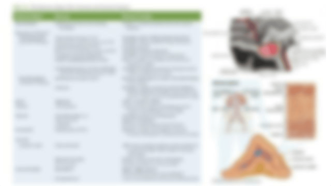 Chapter 14 Endocrine System Diseases and Disorders .pptx_dzavsjdu6ev_page5