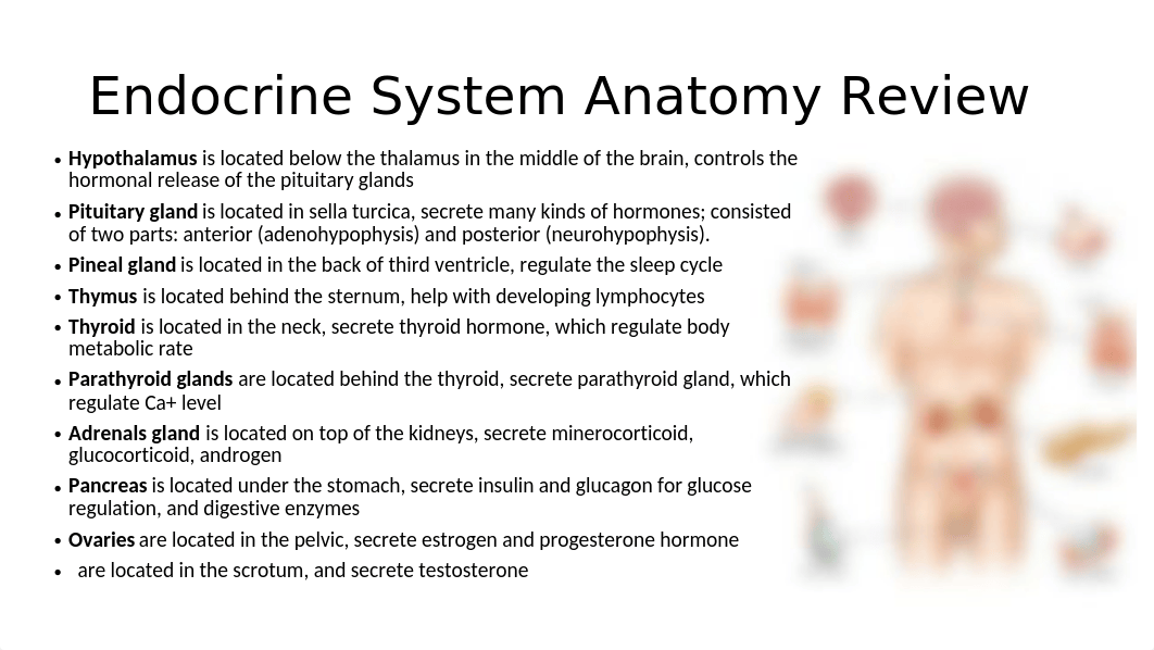 Chapter 14 Endocrine System Diseases and Disorders .pptx_dzavsjdu6ev_page4