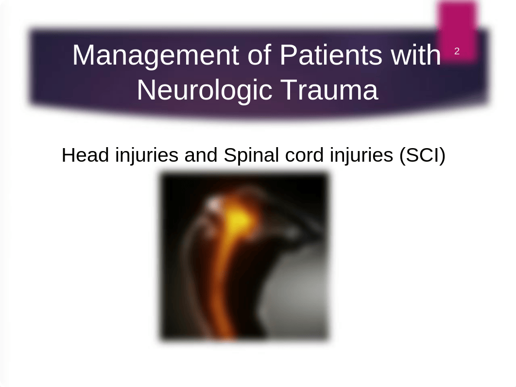 NSG 3050  Neurologic Problems - Part #2 Fall, 2018.ppt_dzaw1hltvw2_page2