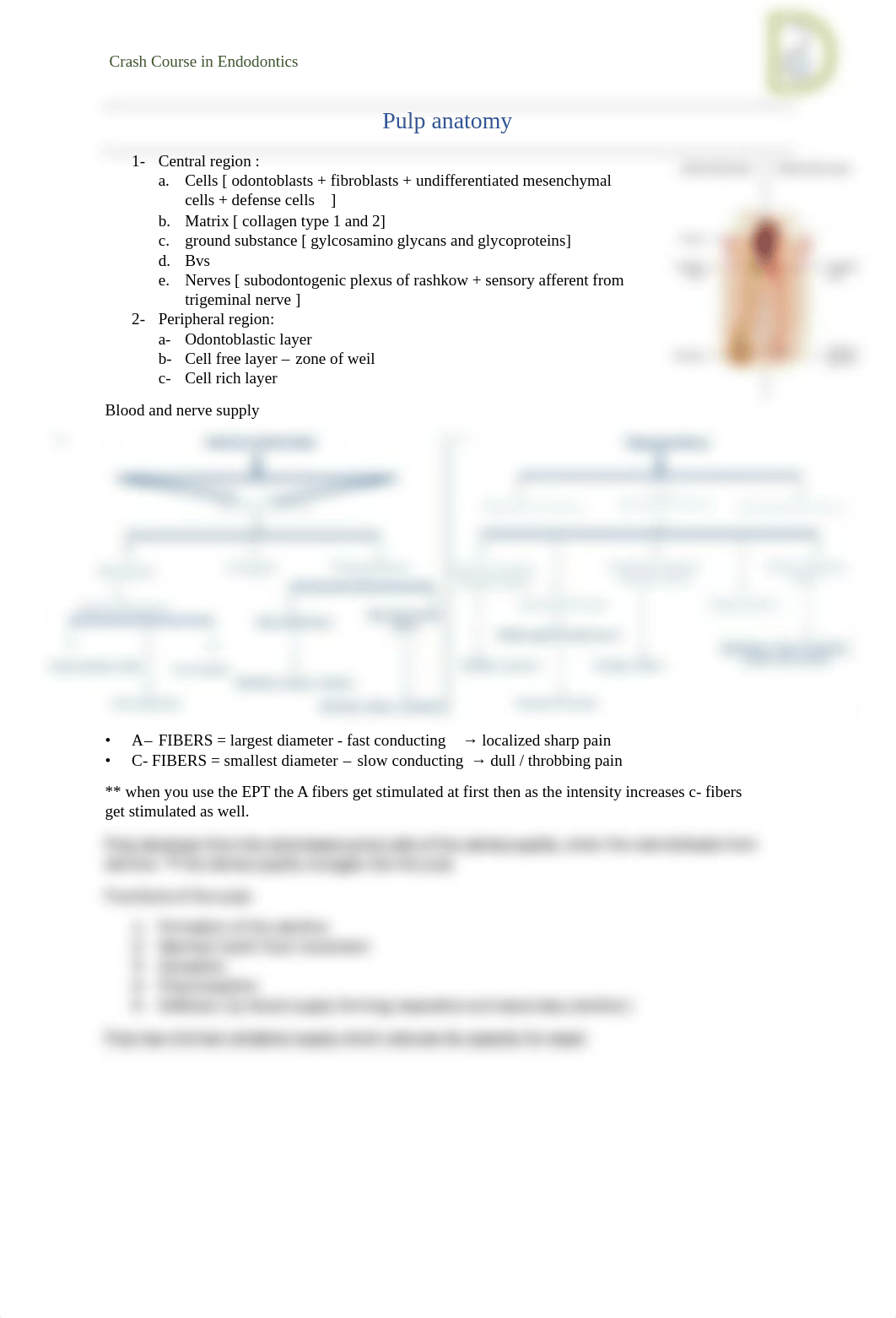 Crash Course In Endodontics.pdf_dzayfwylrda_page5