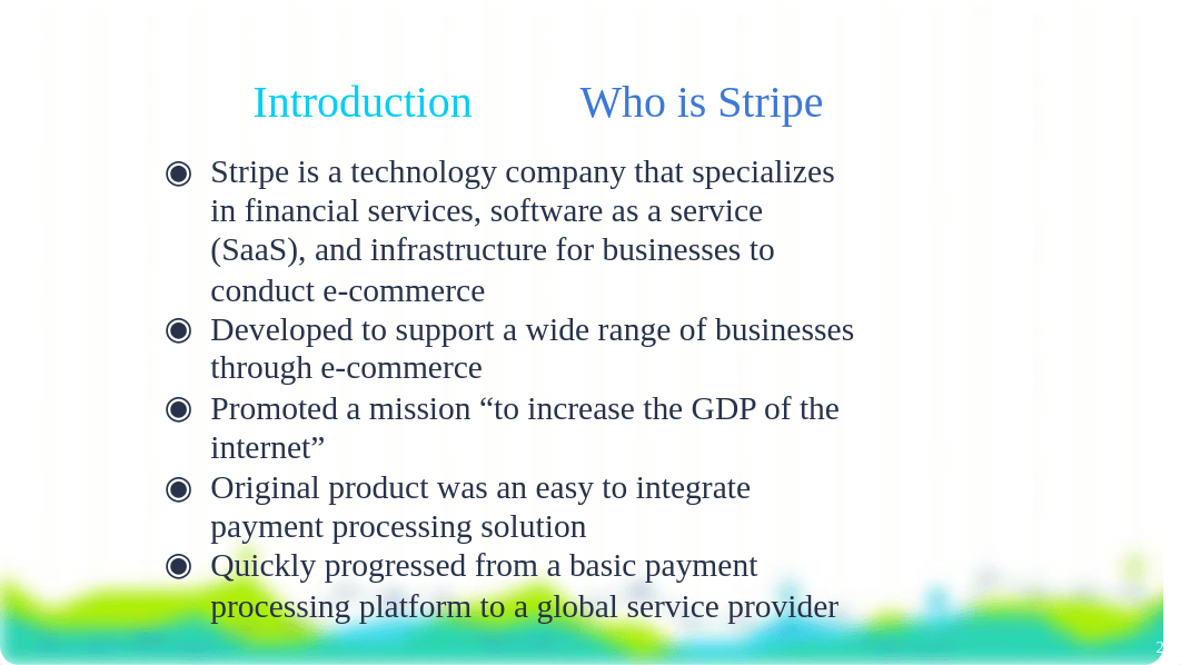 Stripe Presentation.pptx_dzb0ztzo6if_page2