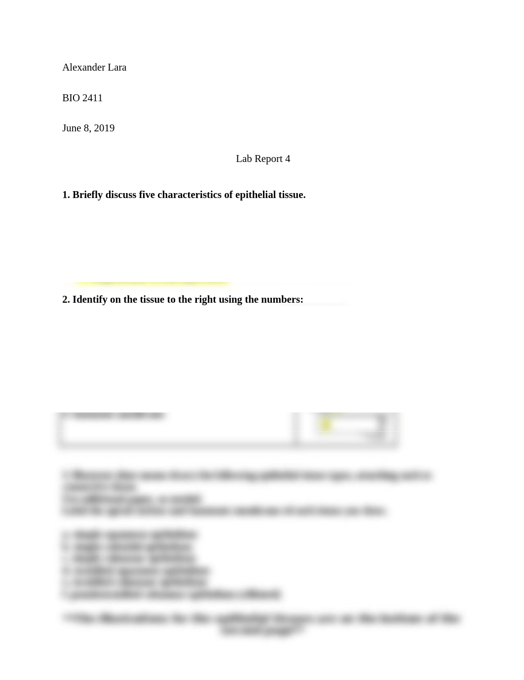 Lab Report 4.docx_dzb2y45y0u1_page1