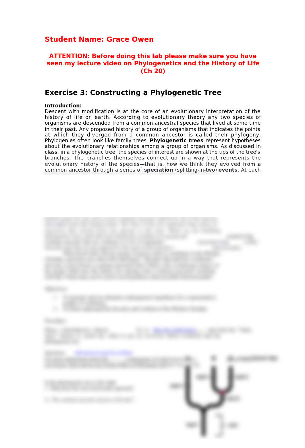 Exercise 3_Constructing a Phylogenetic Tree.docx_dzbda4fco7b_page1