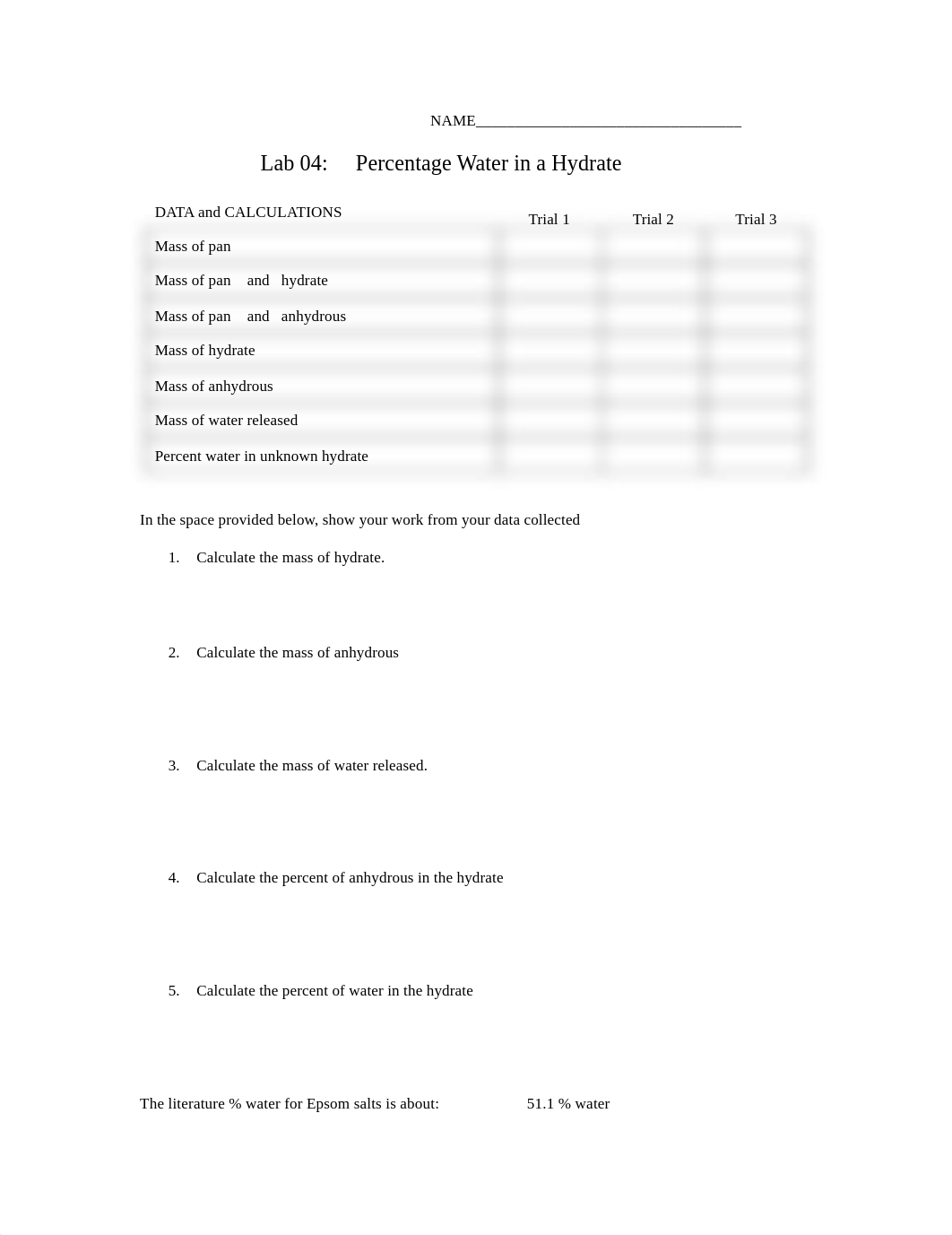 Lab 04  percent water in a hydrate Template 2020.pdf_dzbdy04gjbz_page1