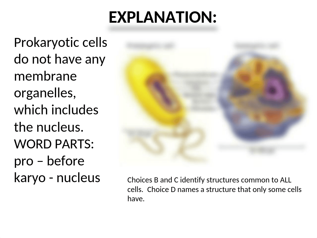 STAAR BIOLOGY PRACTICE TEST discussion.ppt_dzbe4316379_page4