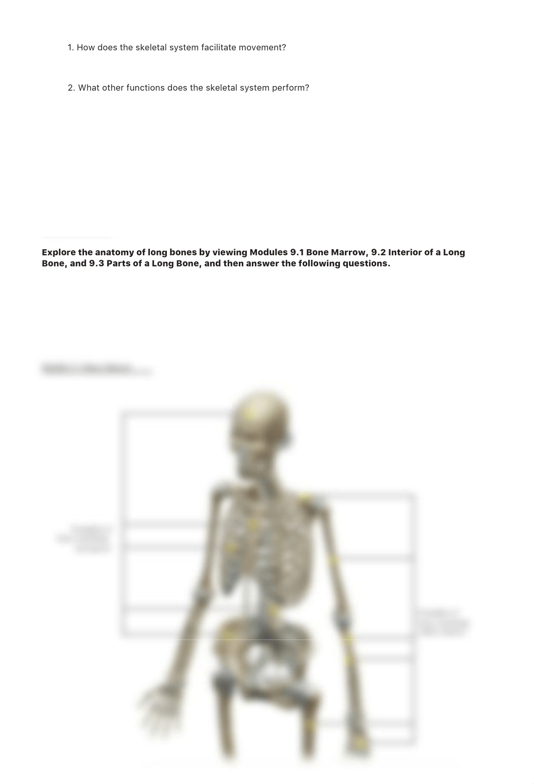 lab_manual_appendicular_skeleton_a+p.pdf_dzbjphwt6bd_page4