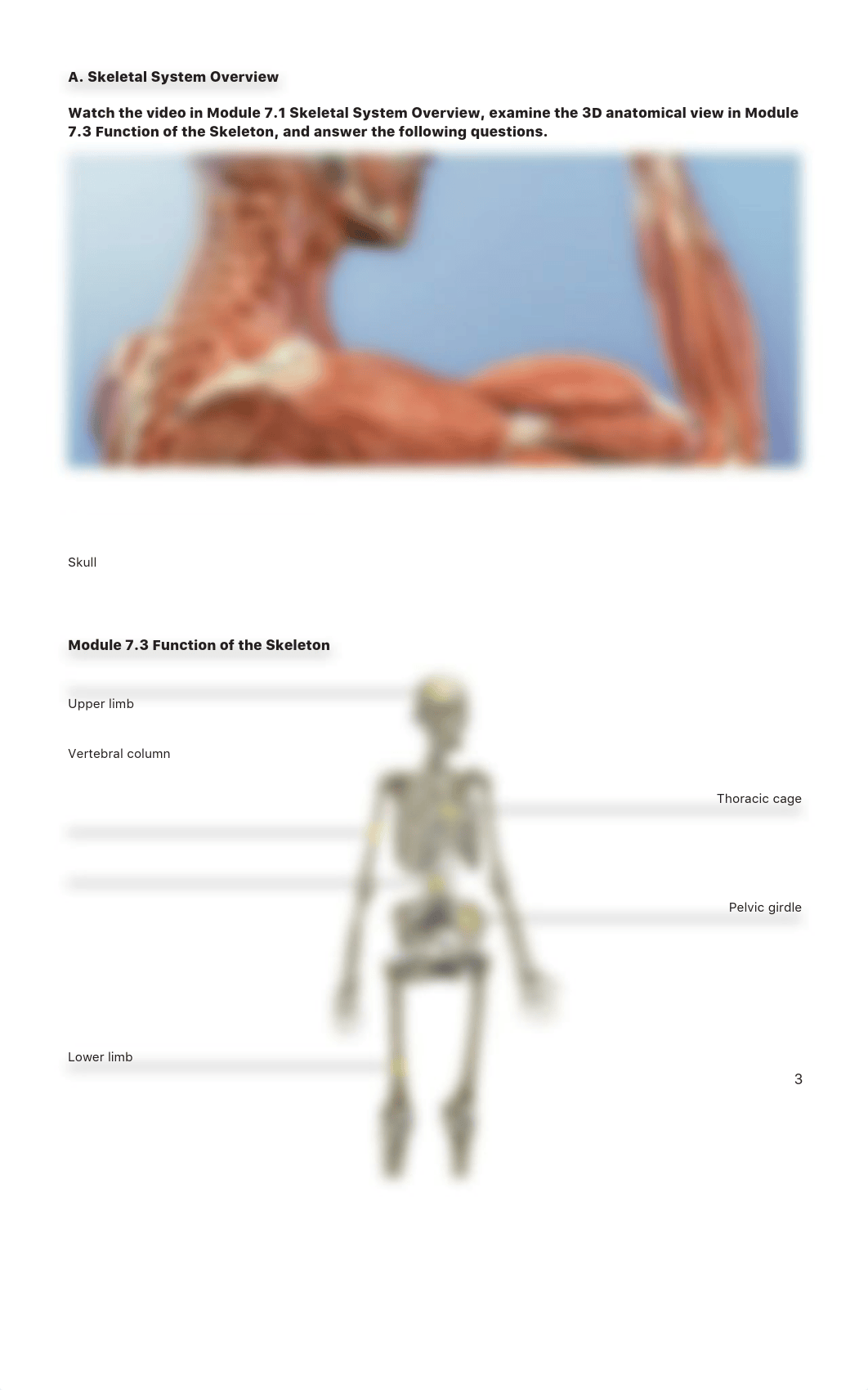 lab_manual_appendicular_skeleton_a+p.pdf_dzbjphwt6bd_page3