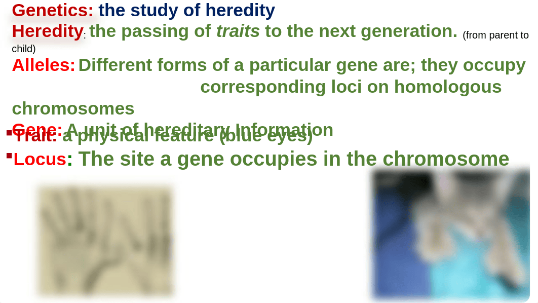 Chapter 11 Heredity master.ppt_dzbnfgwvgb3_page2