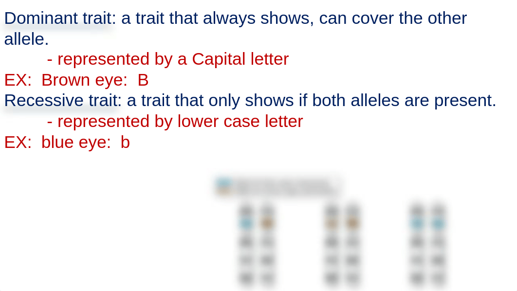 Chapter 11 Heredity master.ppt_dzbnfgwvgb3_page5