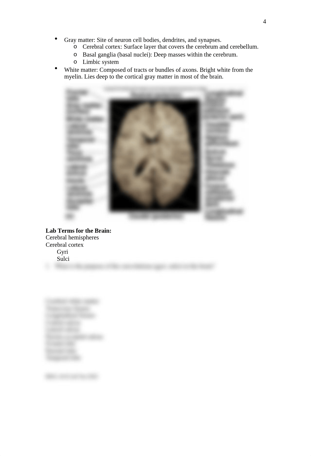 Lab Ten - Brain and Cranial Nerves.doc_dzbtno49lfx_page4