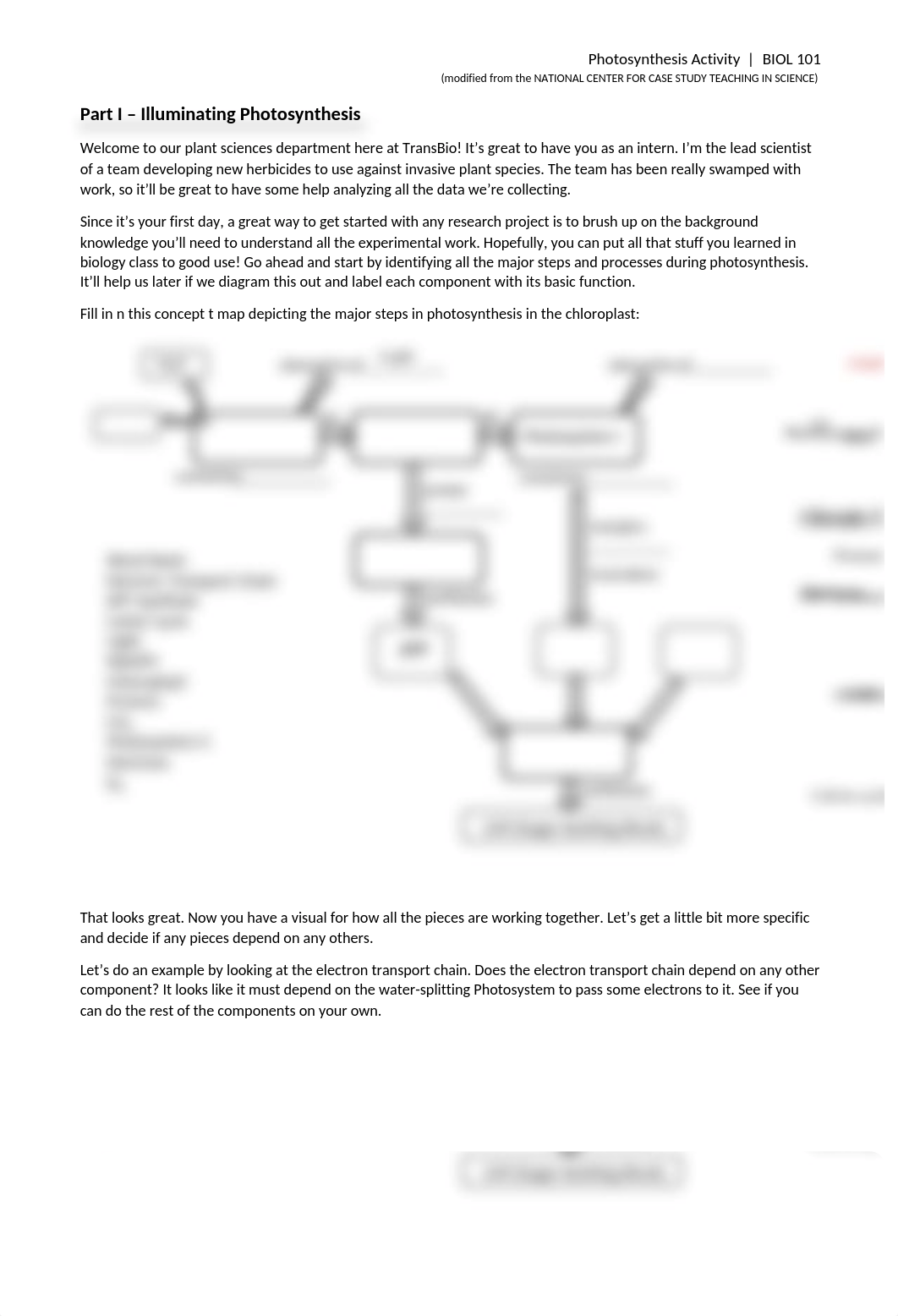 VegaCotto_Photosynthesis Activity_BIOL-101 (2)-1.docx_dzbzps2tj6a_page1