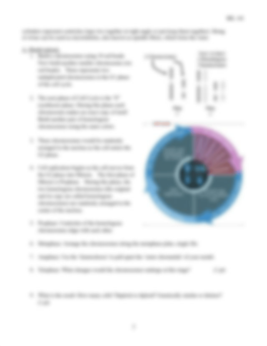 Lab 8- mitosis-meiosis SPRING 2020 virtual.docx_dzc1rjtiuku_page2