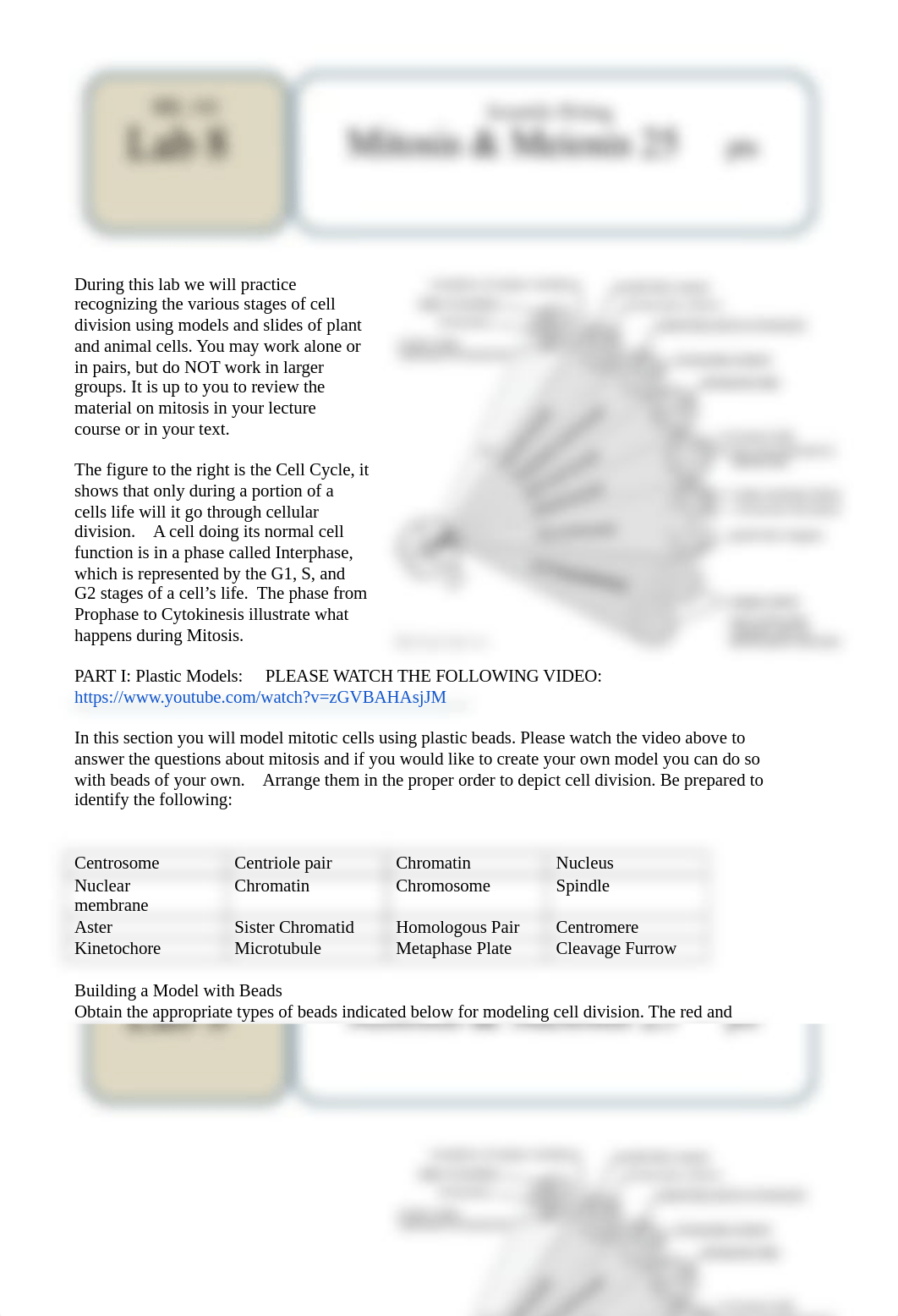 Lab 8- mitosis-meiosis SPRING 2020 virtual.docx_dzc1rjtiuku_page1