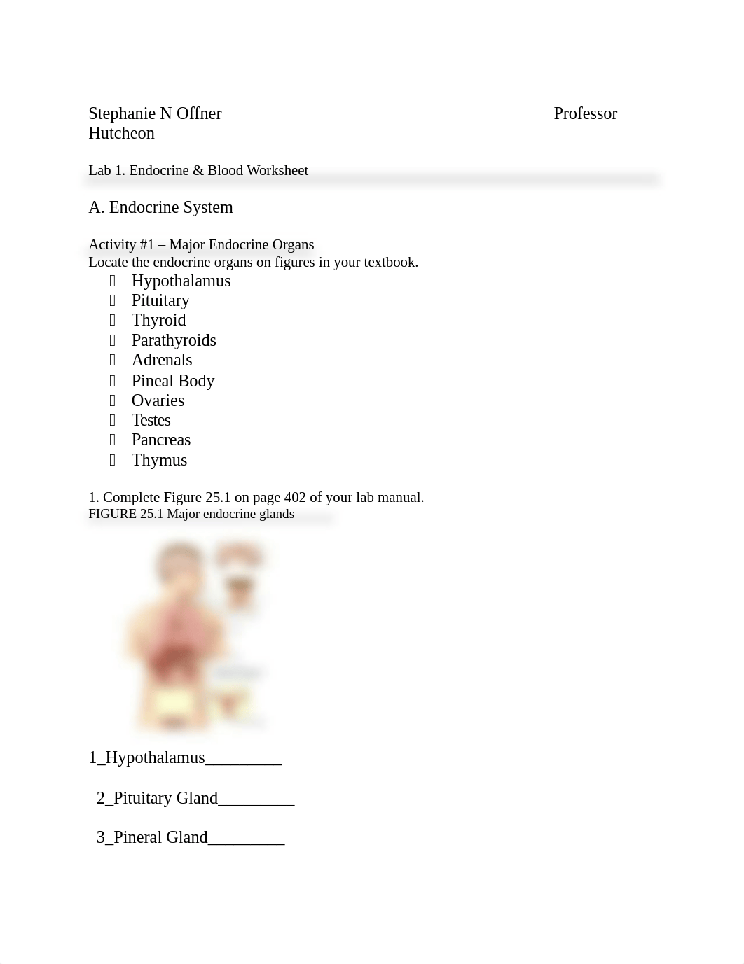 1 endocrine & blood worksheet Bio242ol.docx_dzc2jhm87fr_page1