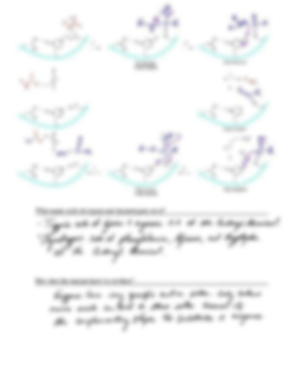 Basic Concepts Worksheet 2.2.pdf_dzc5c2yvry5_page2